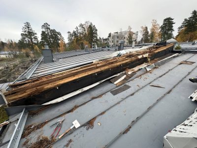 20241022_124424_IMG_3569_1920