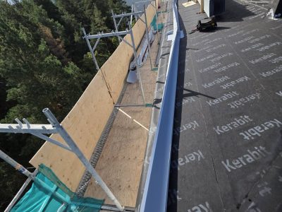 20250828_101306_1920